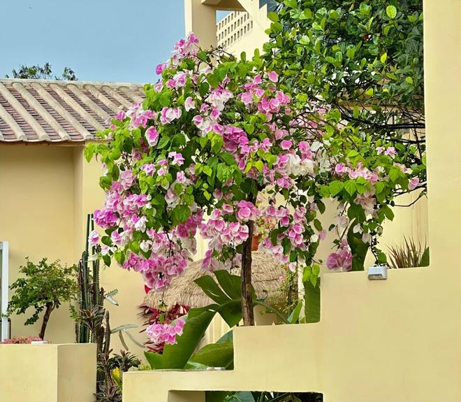 北海亲子游5天4晚价格跟团五日游报价AG